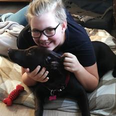 Labrador retriever Molly