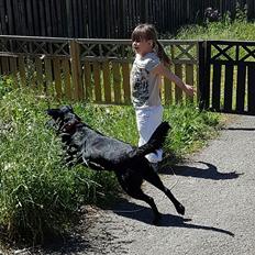 Blanding af racer Malou