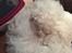 Bichon havanais Blanding mellem Bichon Frise og Havanais