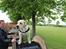Labrador retriever Manze