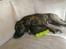 Blanding af racer Mulle R.I.P
