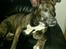 Blanding af racer Mulle R.I.P