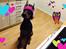 Dobermann Ben 