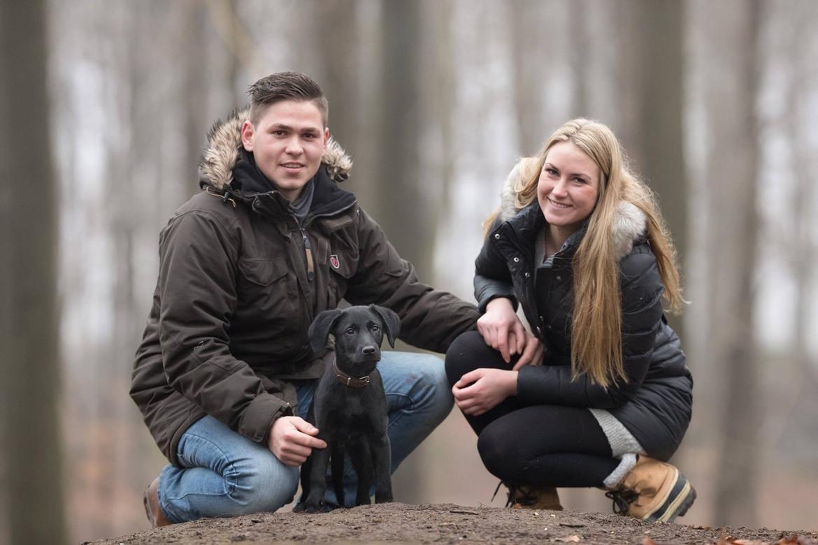 Labrador retriever Mailo  billede 11