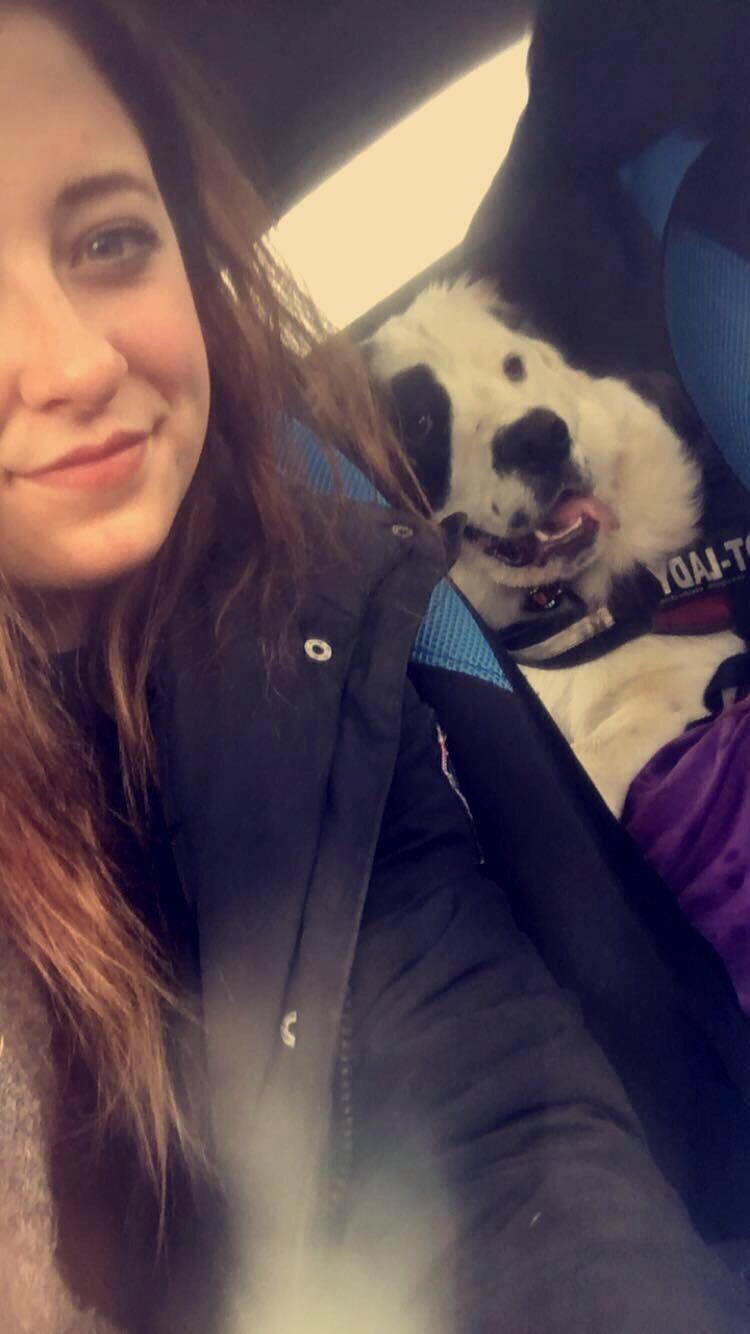 Blanding af racer Emmalul (Emma) billede 1