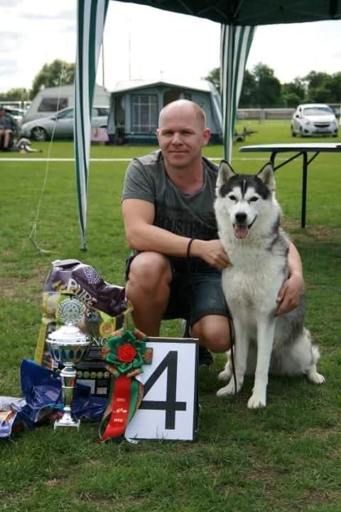 Siberian husky Miracle Mai Tai d' Abajomy  billede 8