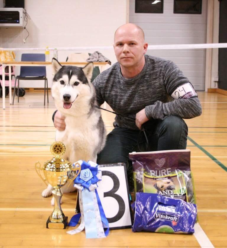 Siberian husky Miracle Mai Tai d' Abajomy  billede 11