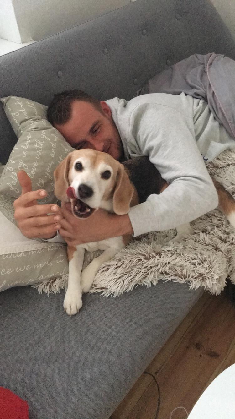 Beagle Freja billede 2