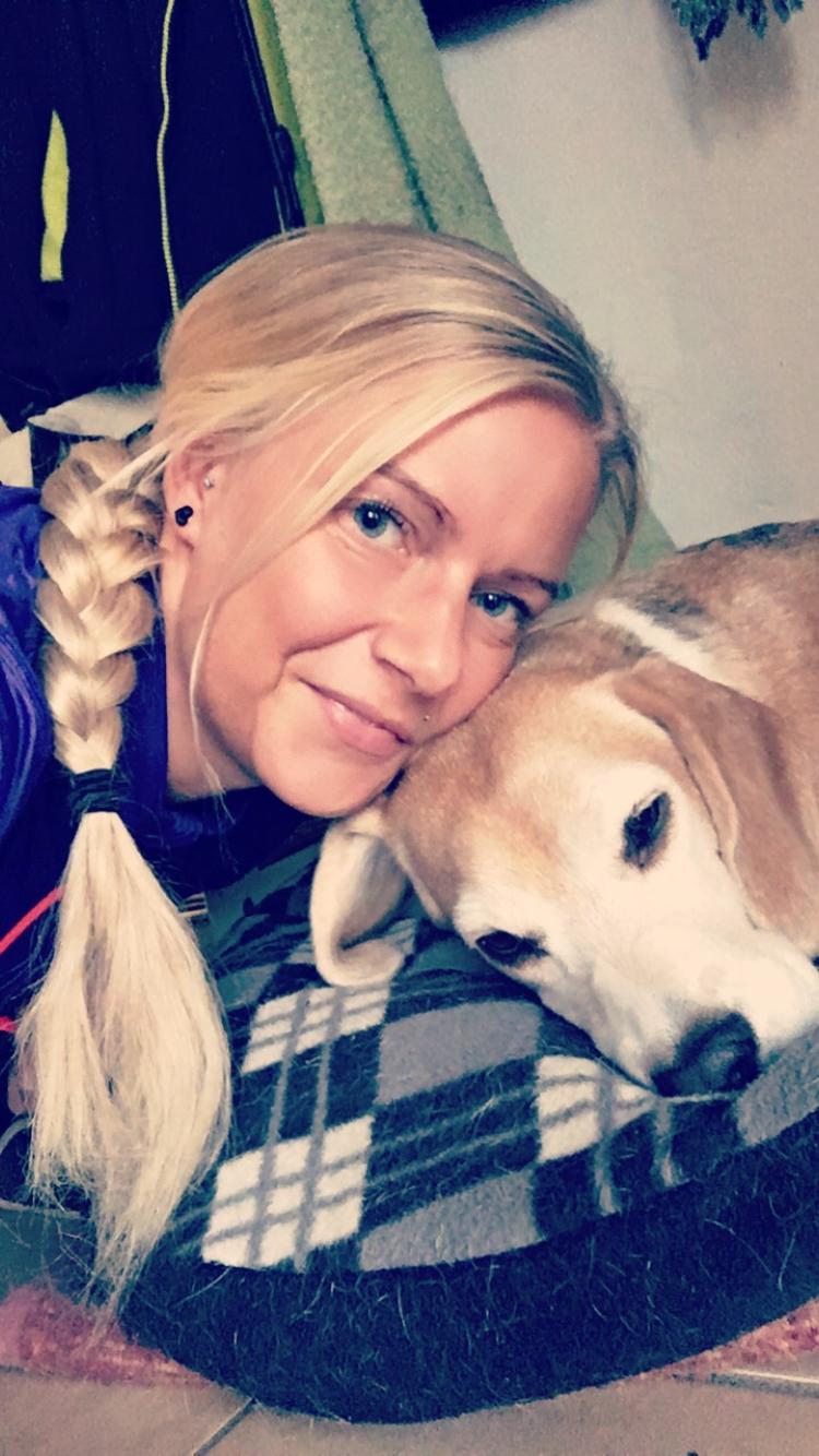 Beagle Freja billede 11