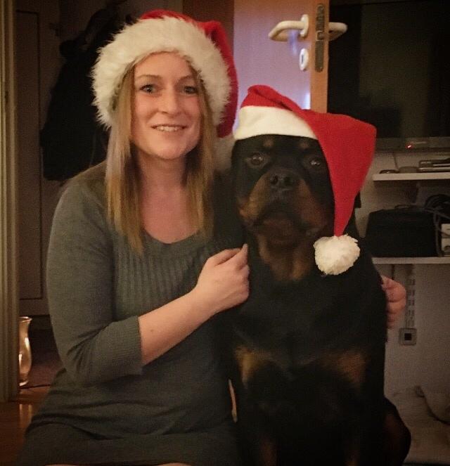 Rottweiler Djengis billede 16