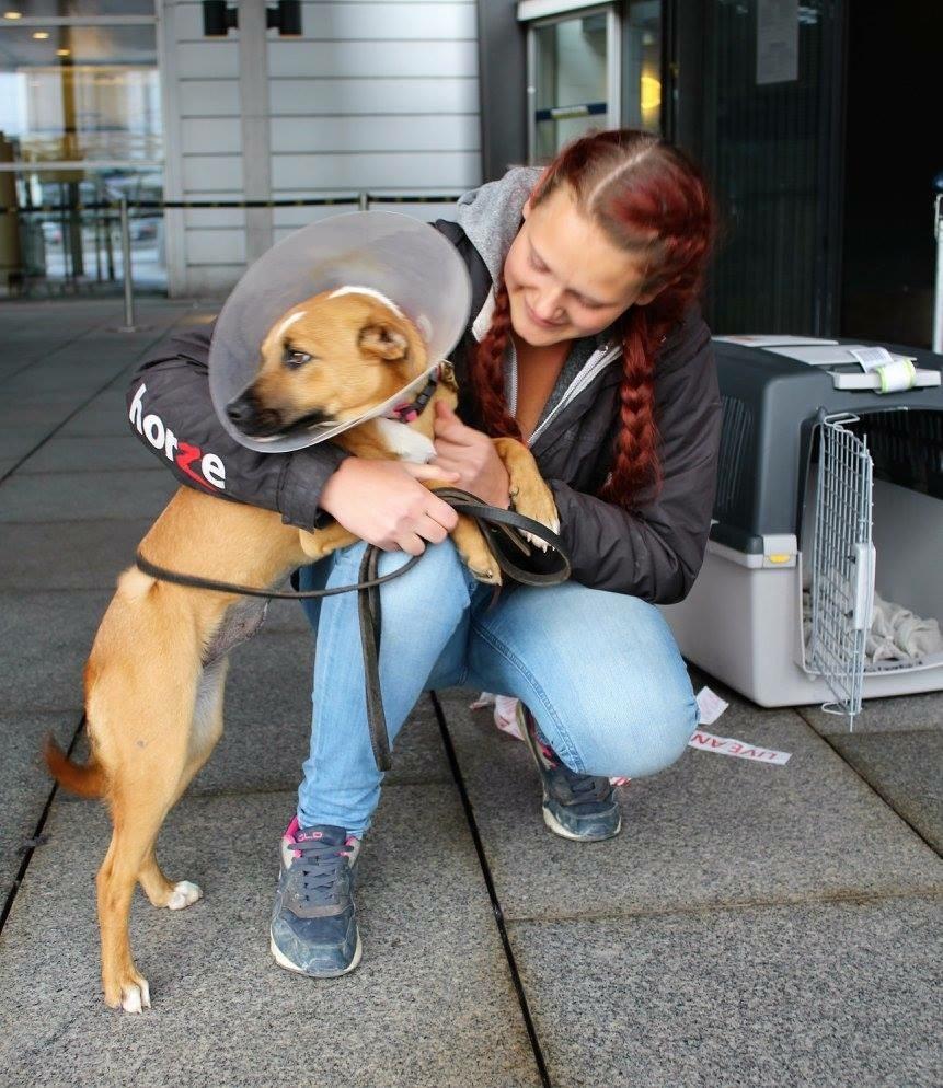 Blanding af racer Chica billede 5