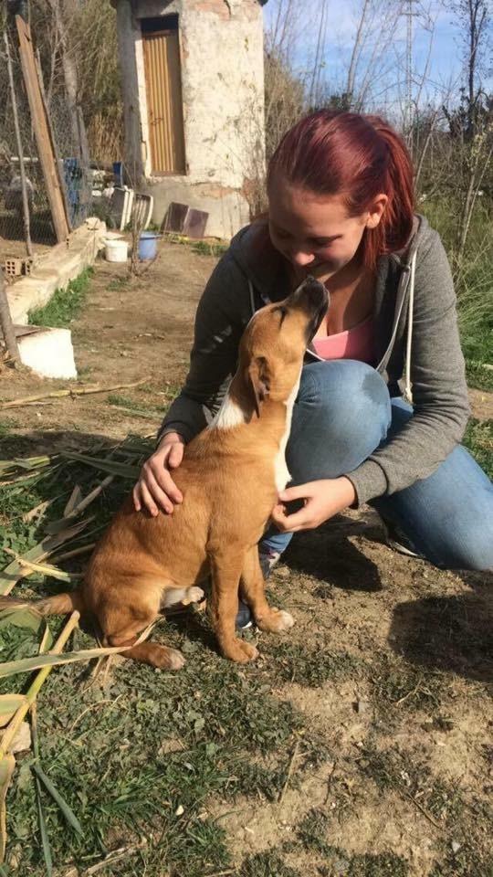 Blanding af racer Chica billede 6