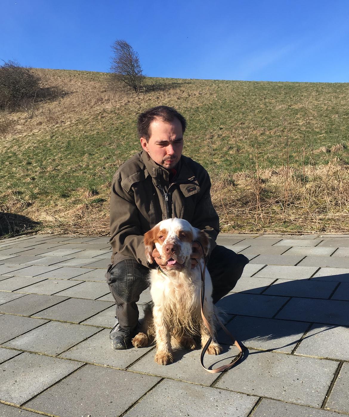 Clumber spaniel Mads - Clumbus Hole In One billede 2