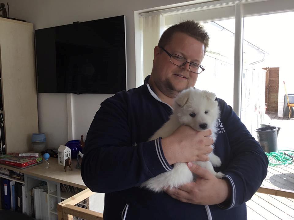 Dansk Spids Balder billede 8