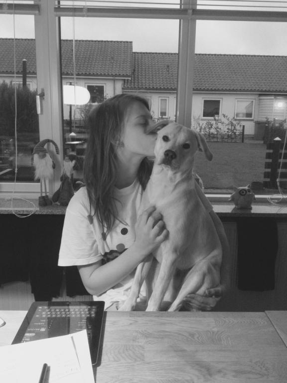 Blanding af racer Cuba billede 5