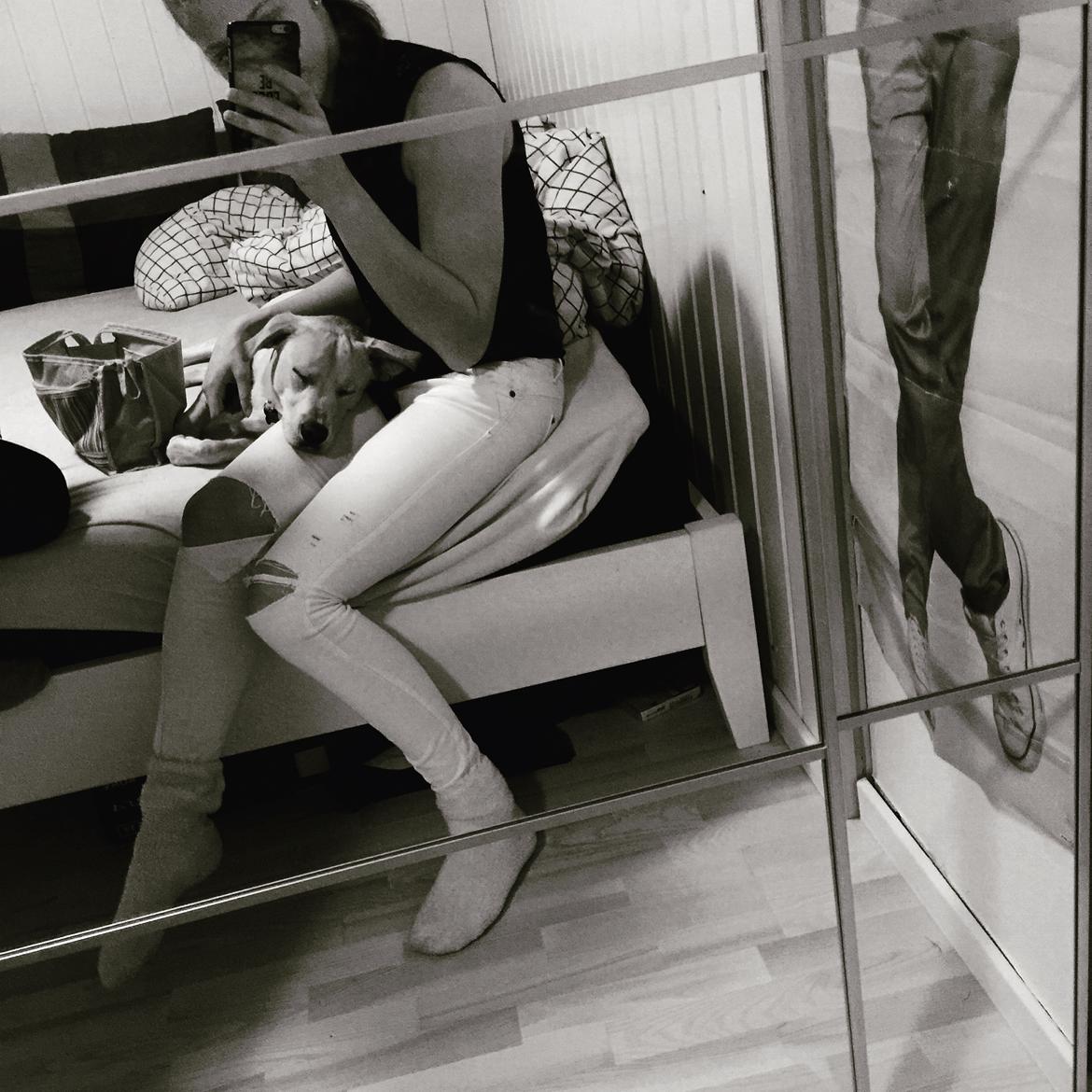 Blanding af racer Cuba billede 6