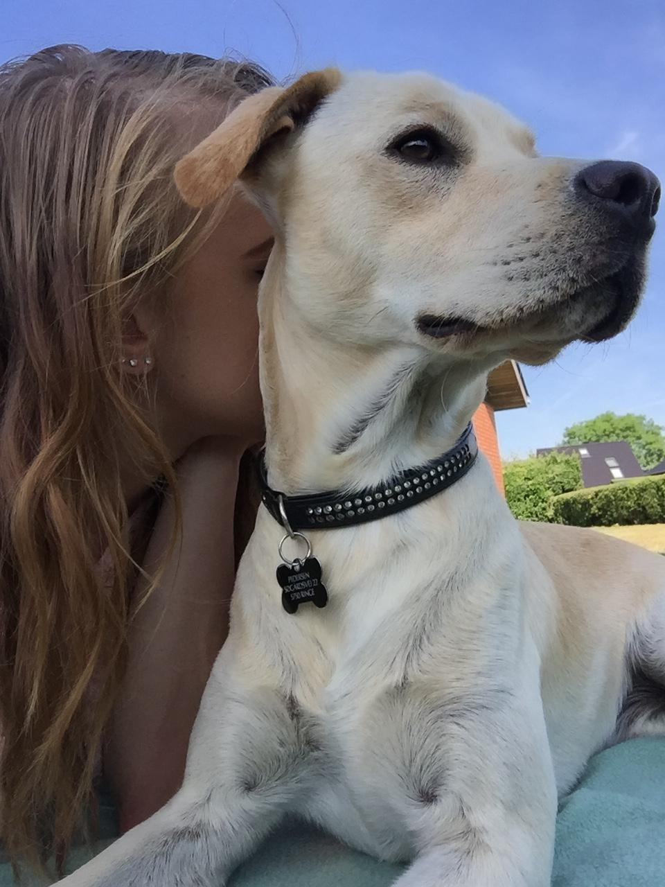 Blanding af racer Cuba billede 13