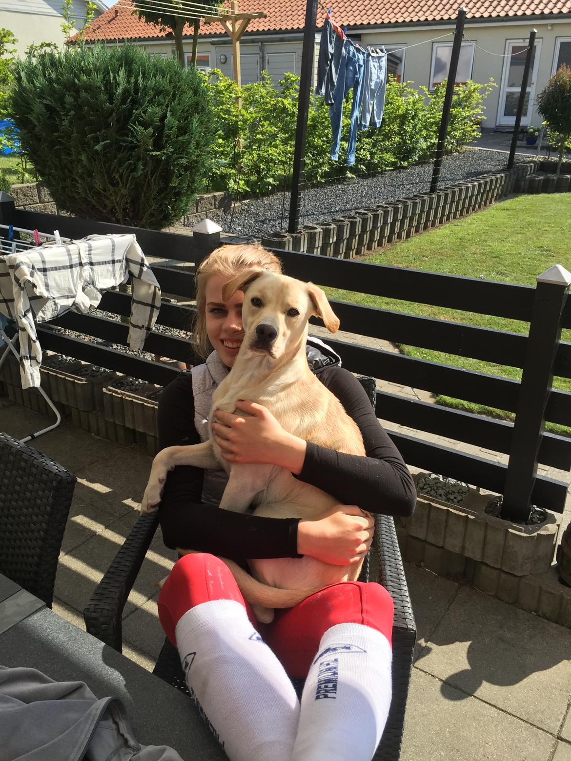 Blanding af racer Cuba billede 14