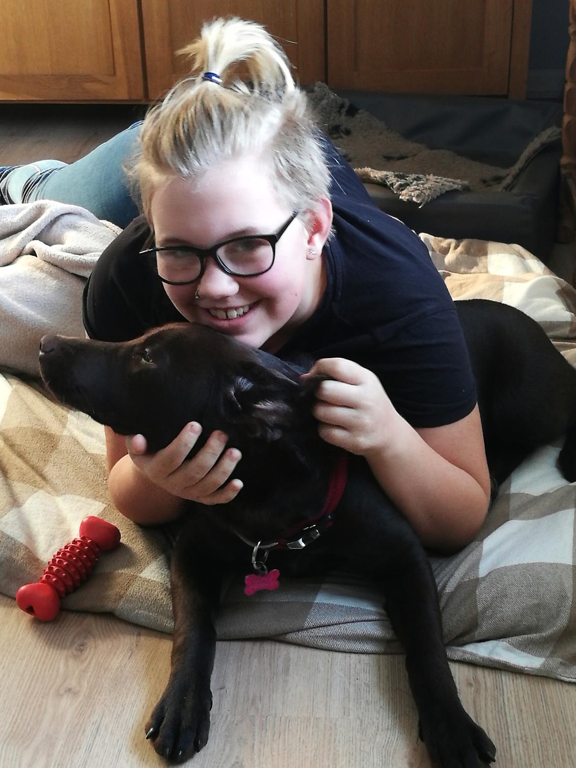 Labrador retriever Molly billede 3