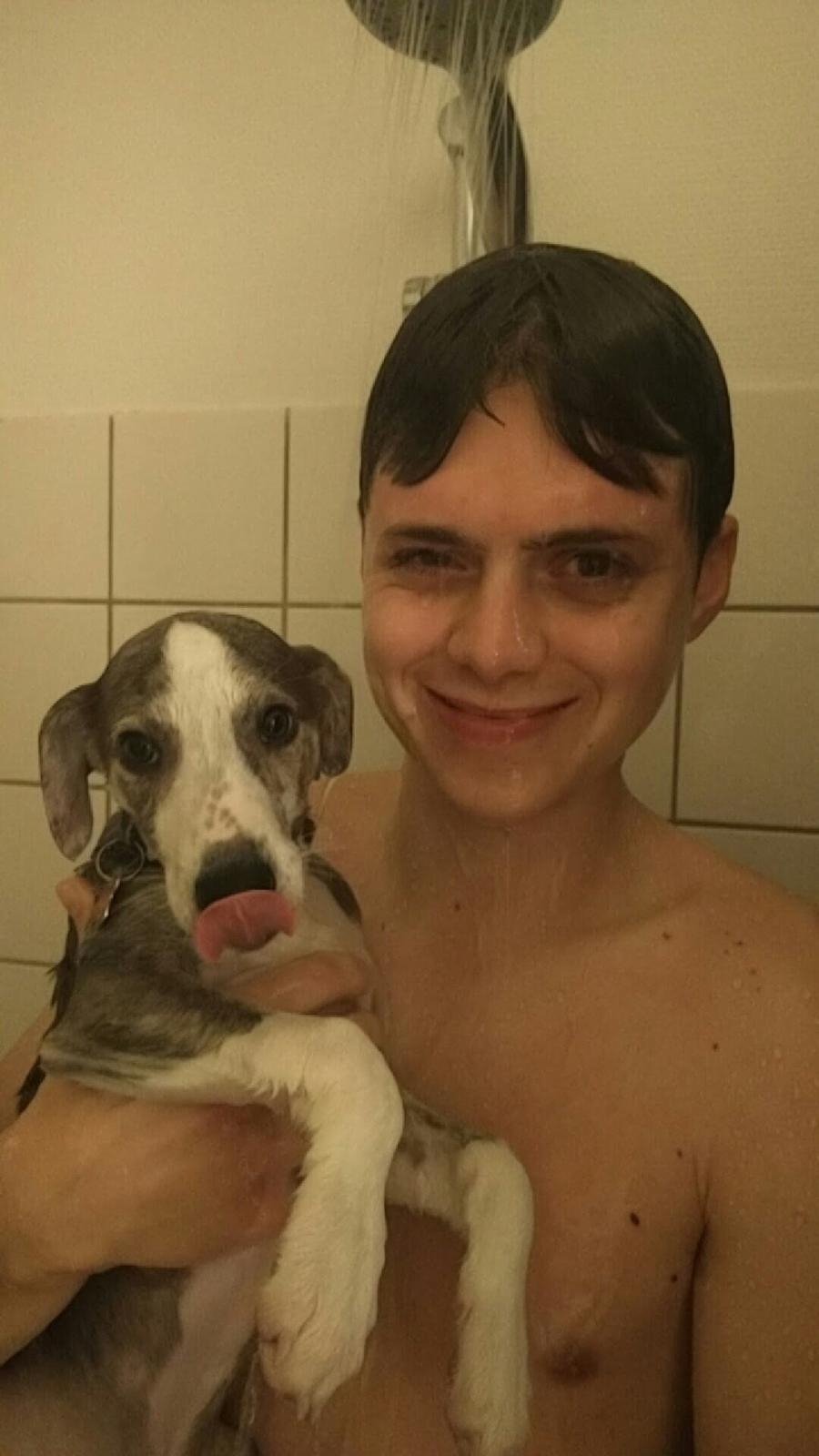 Whippet Tanalorn Peter the One and Only billede 14