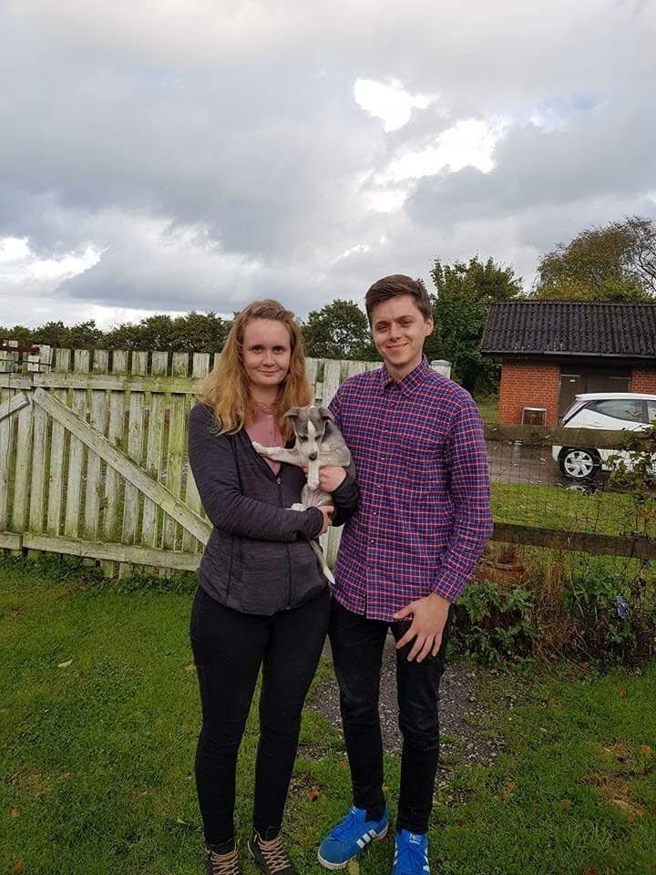 Whippet Tanalorn Peter the One and Only billede 19