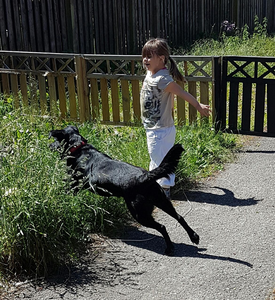 Blanding af racer Malou billede 2