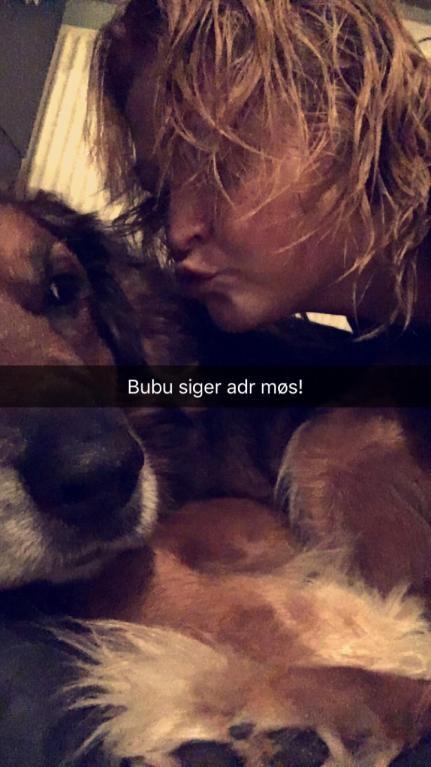 Blanding af racer Baloo - Super Loppen billede 25