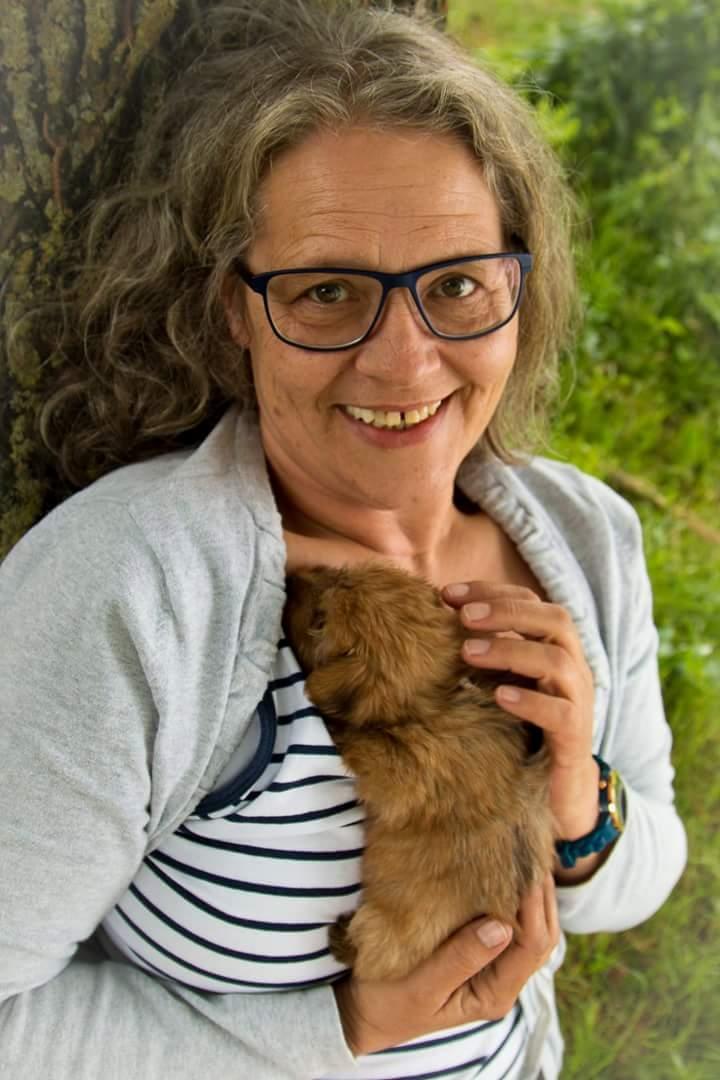 Blanding af racer Daisy billede 5