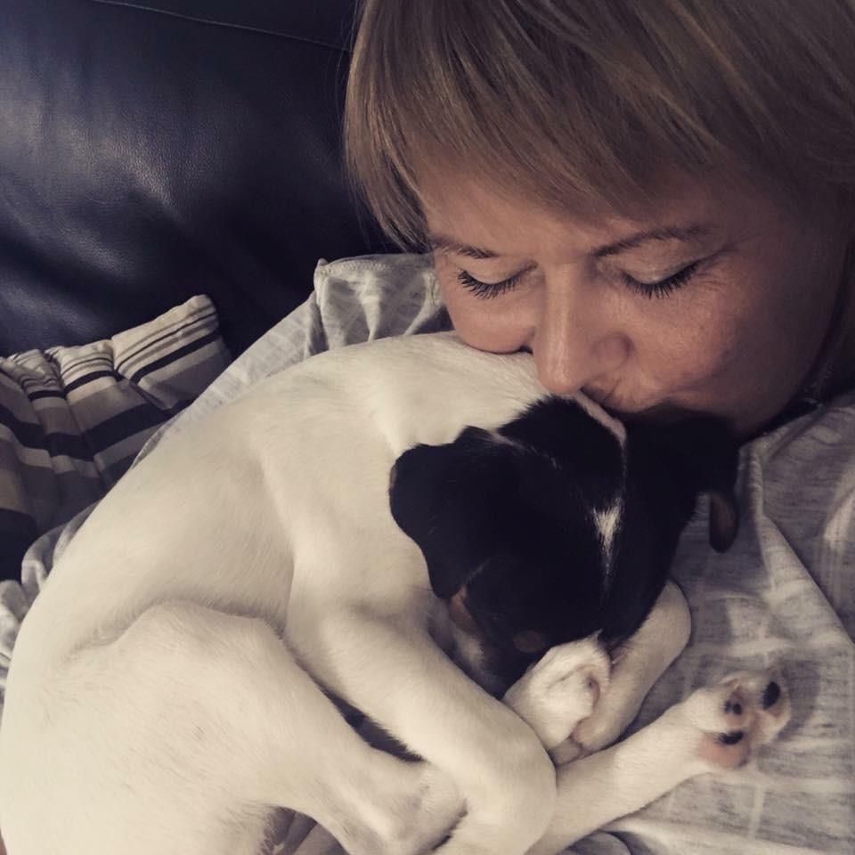 Dansk svensk gaardhund Tulle - Et sjældent øjebliks putning billede 8