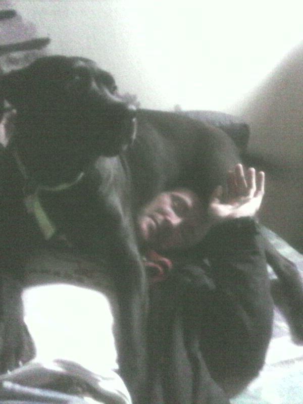 Cane corso Lilith immaculate - vink onkel jimmi billede 13