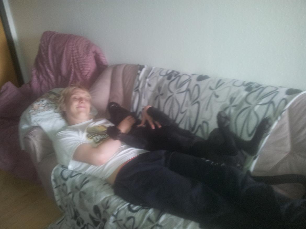 Cane corso Lilith immaculate billede 14