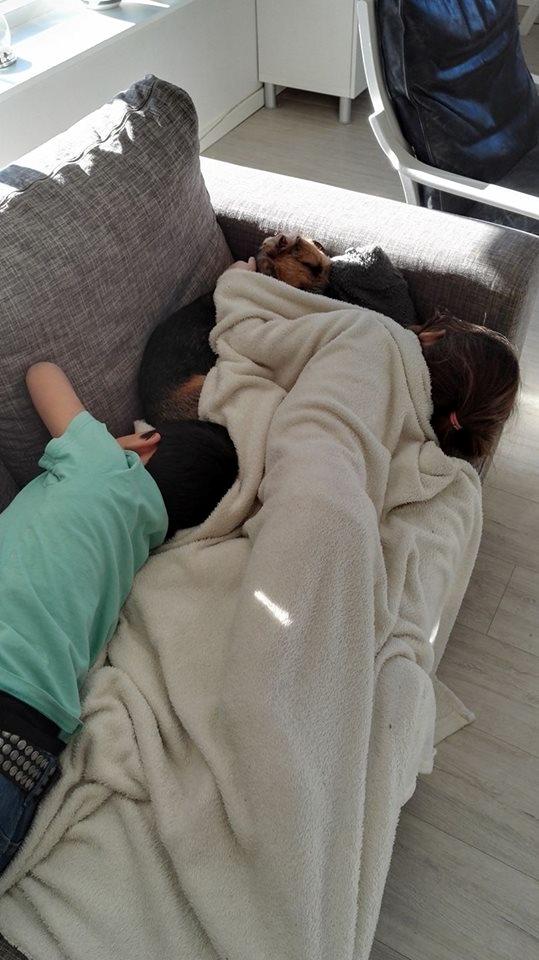 Blanding af racer Lucy billede 4