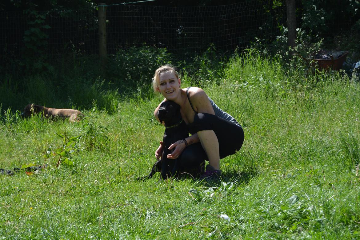 Cane corso Lilith immaculate billede 19