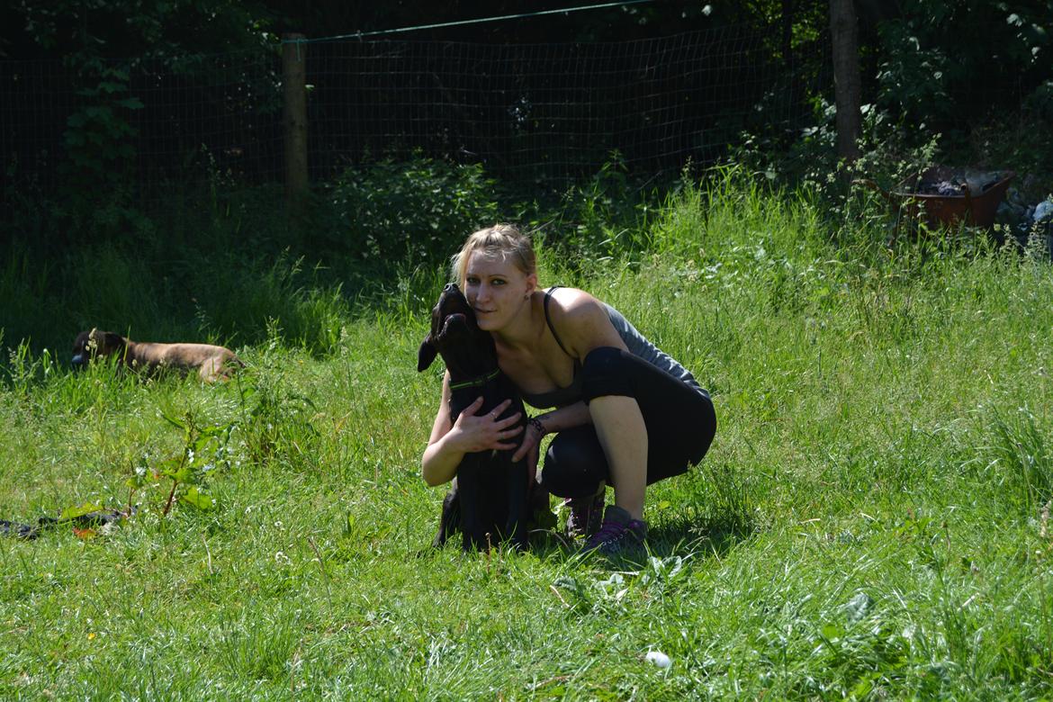 Cane corso Lilith immaculate billede 22