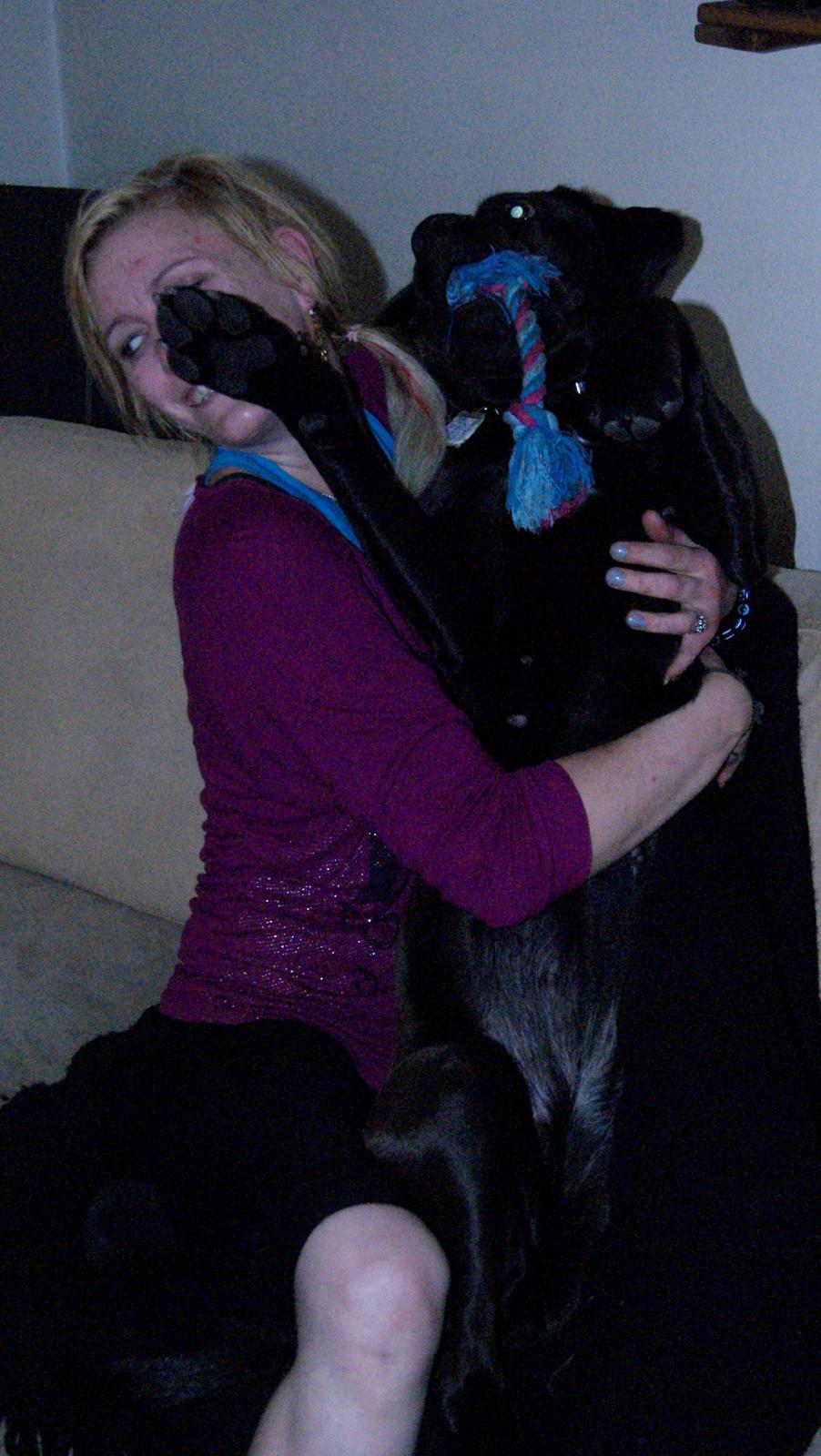 Cane corso Lilith immaculate billede 32