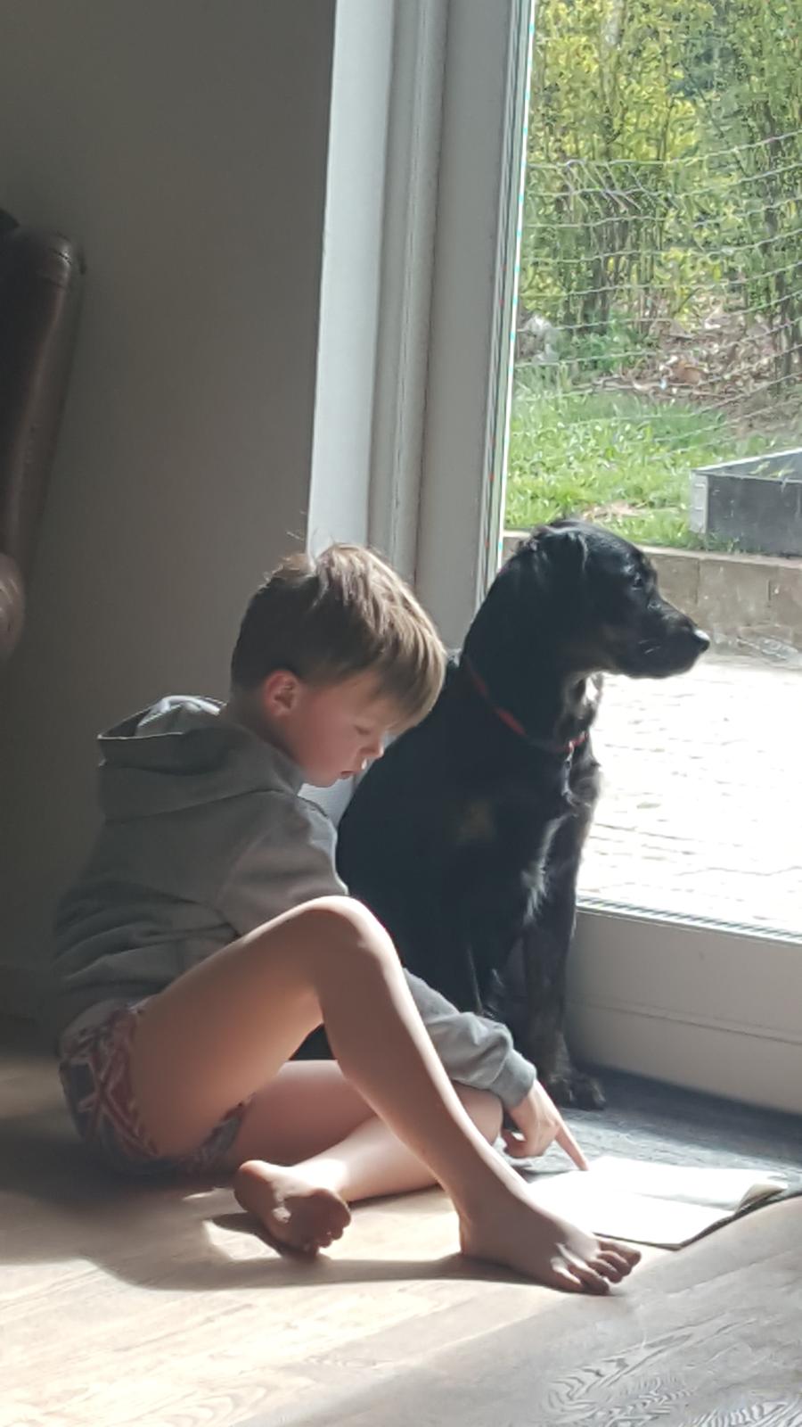 Blanding af racer Nela billede 11