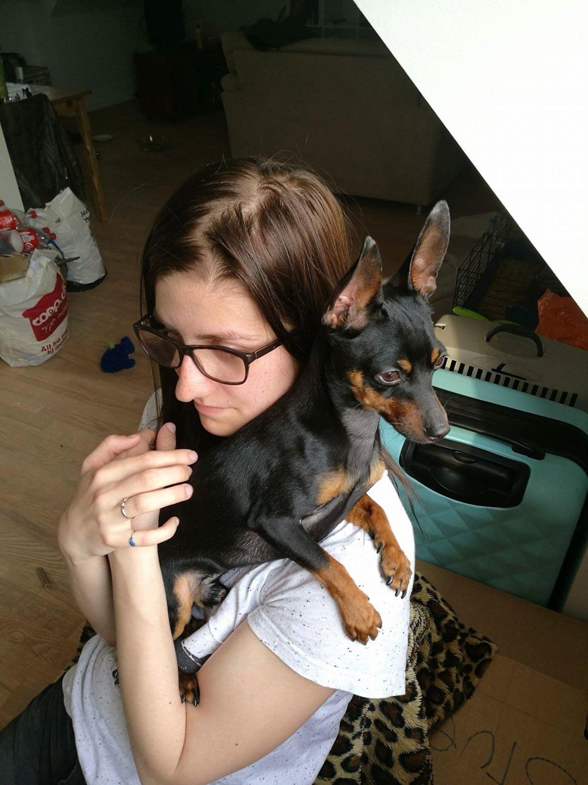 Blanding af racer Frej  billede 15