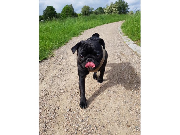 {{currentPhoto.altText}} billede {{currentPhoto.number}}