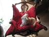 Chihuahua Zsazsa Gabor [ Himmelhund]