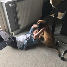 Mastiff Thorkild (død 2023)