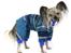 Chinese crested hårløs } Chelsy