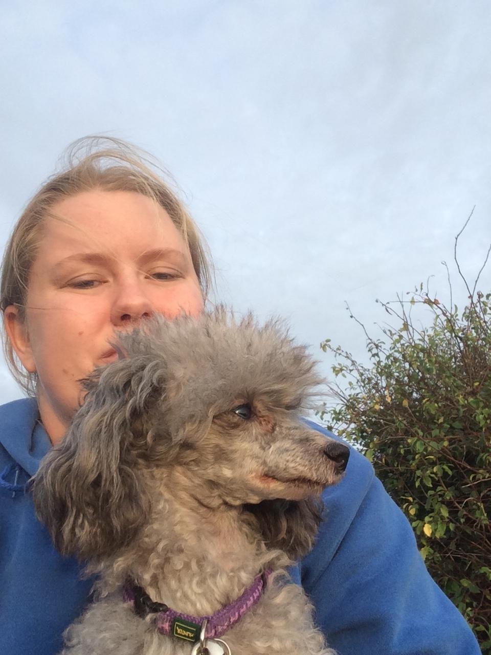 Dværgpuddel Kiwi - På tur med mor:-) på revet i Korsør billede 36