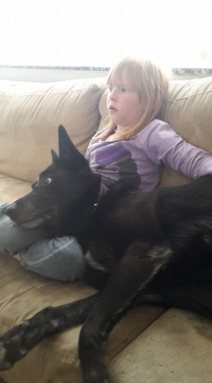 Blanding af racer Flisa billede 4