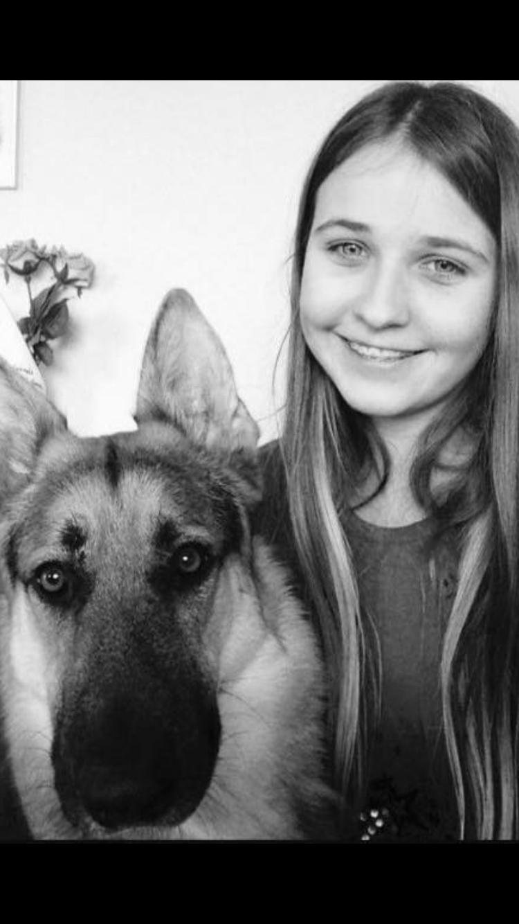 Schæferhund Rex billede 24