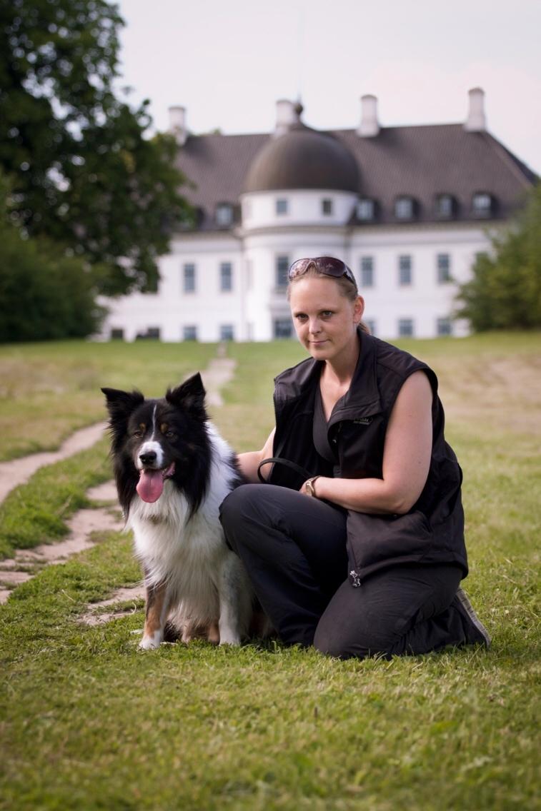 Border collie Satu (Hummelhund) billede 45