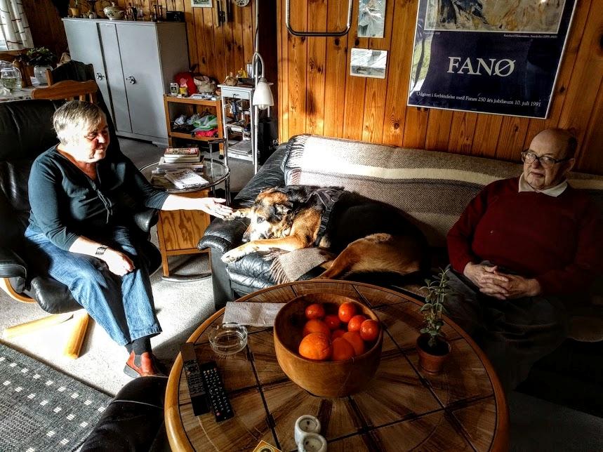 Schæferhund Ocean billede 1