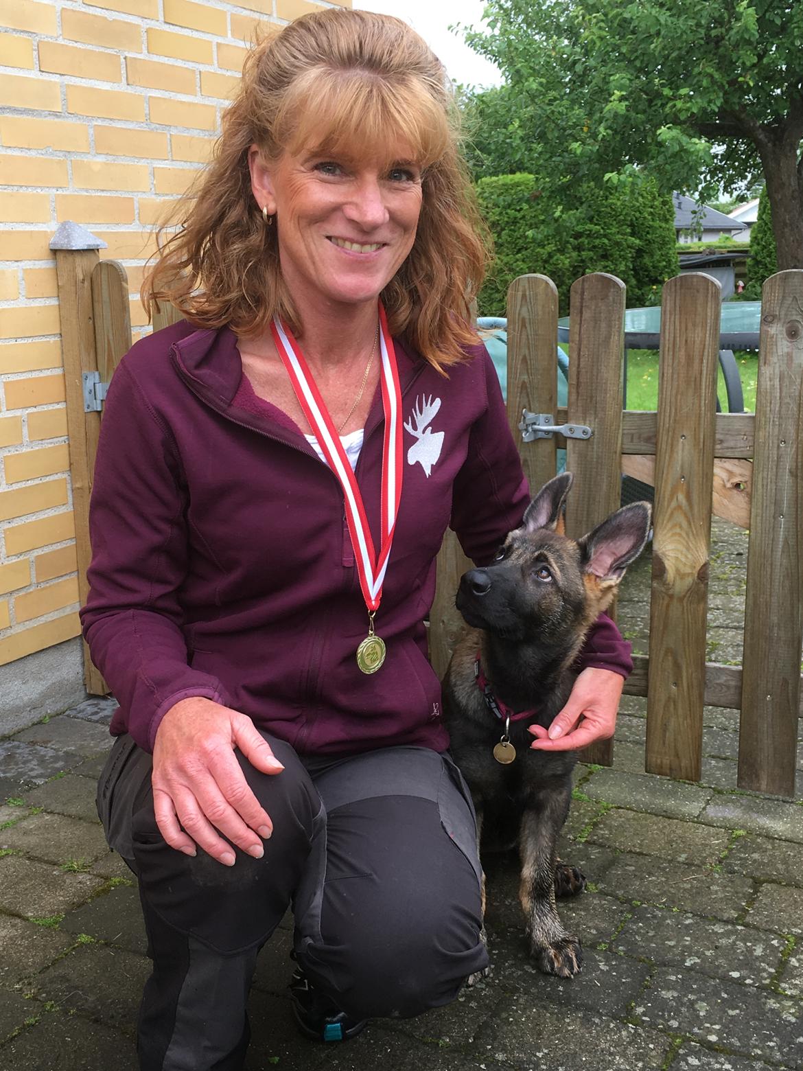 Schæferhund Kennel Team Englund´s Kala billede 14