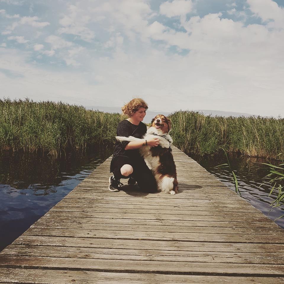 Border collie Max [himmelhund] - I LOVE YOU billede 2