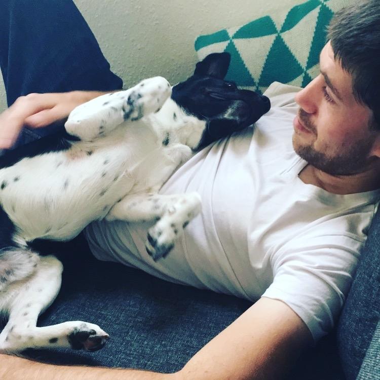 Dansk svensk gaardhund Balder  billede 8