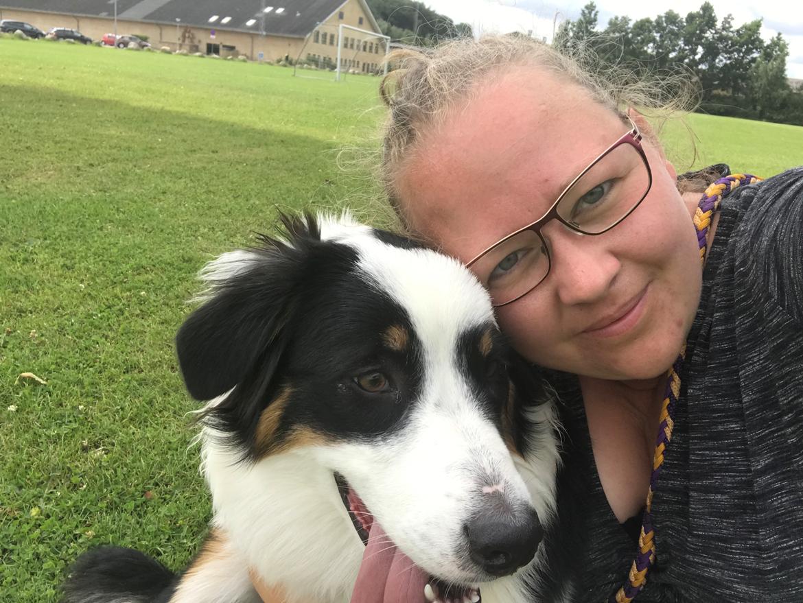 Australian shepherd DeeNovo Sometimes It Snows In April "Saga" billede 7